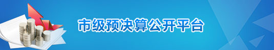 市级预决算公开平台