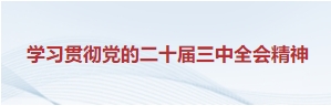 学习贯彻党的二十届三中全会精神