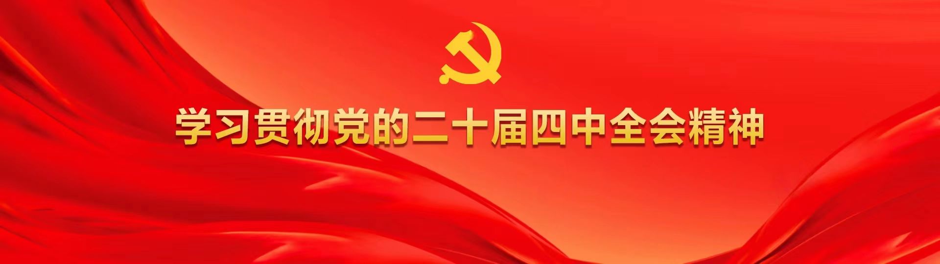 学习贯彻党的二十届四中全会精神